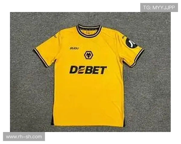 2015-2016赛季英超球衣图鉴与风格分析 2015-2016赛季英超球衣图鉴与风格分析